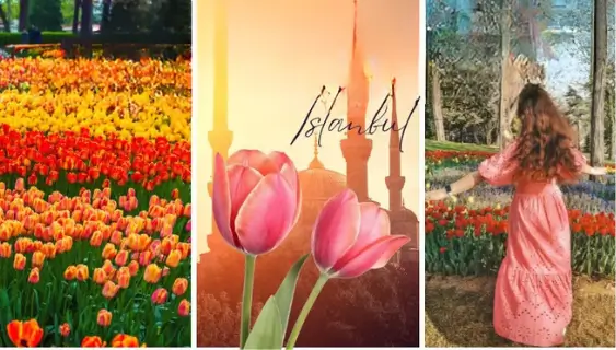 Tulip Festival in Istanbul